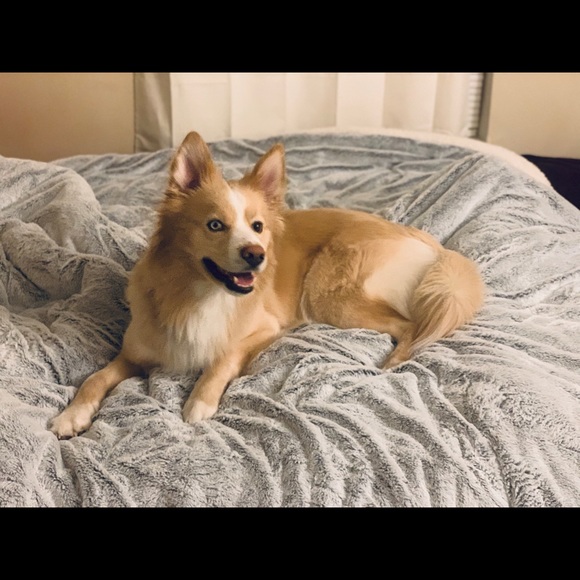 Meet your Posher, Jessica - Picture 11 of 16